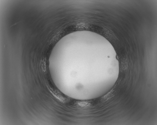 X0000052970183200507300147