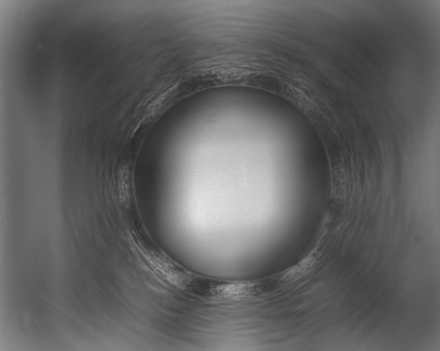 X0000052970184200507300147