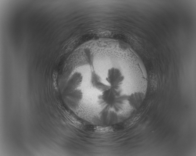 X0000052970185200507300147