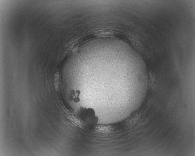 X0000052970189200507300147