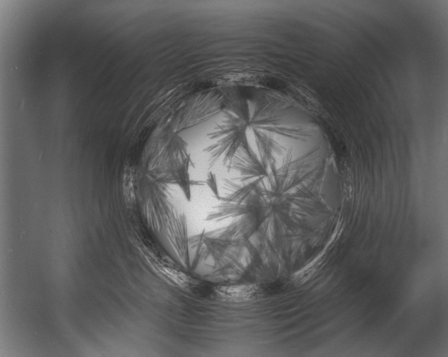 X0000052970191200507300147