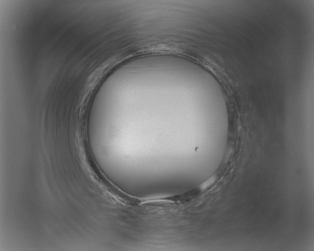 X0000052970193200507300146