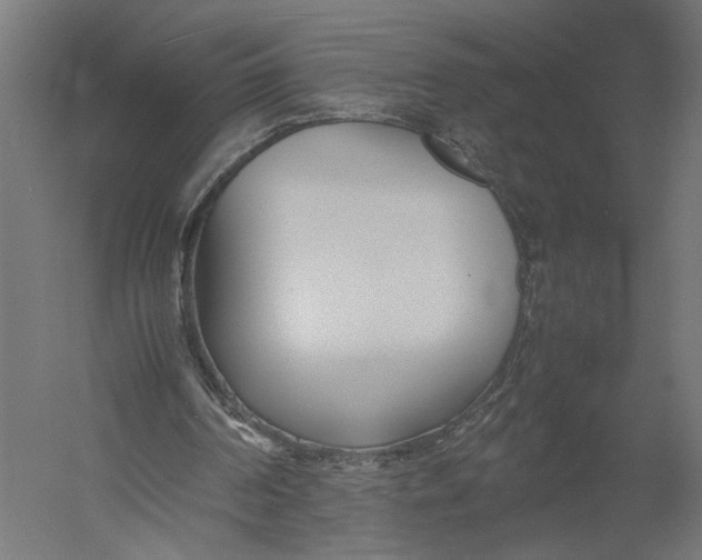 X0000052970194200507300146