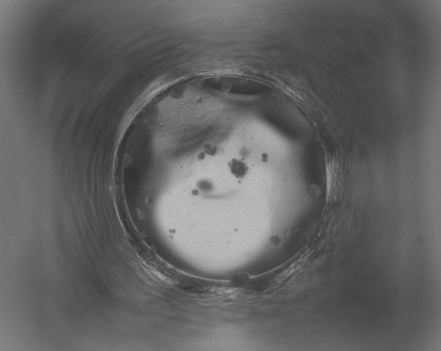 X0000052970195200507300146