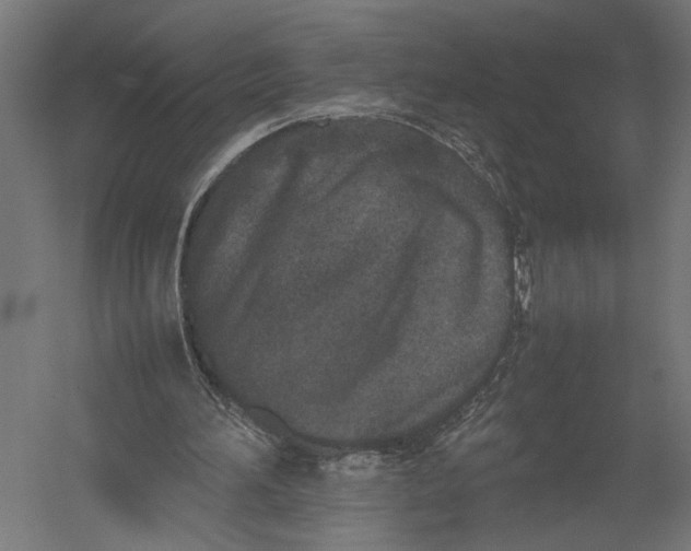 X0000052970196200507300146