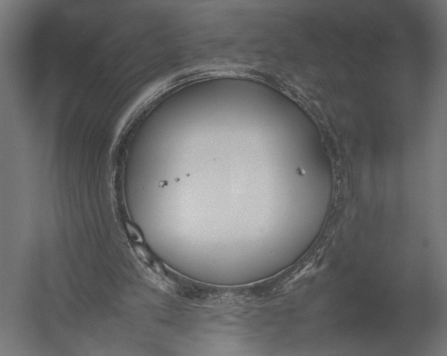 X0000052970197200507300146