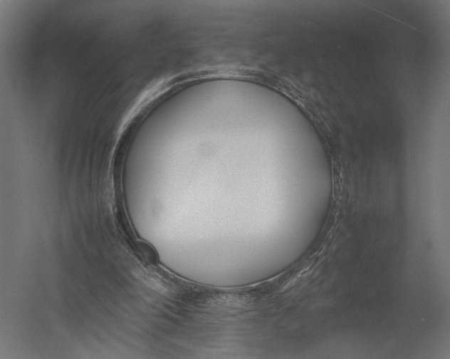 X0000052970198200507300146