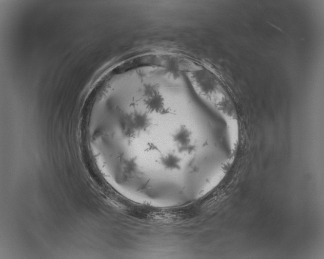 X0000052970199200507300146