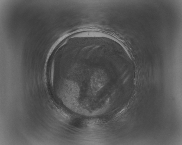 X0000052970200200507300146