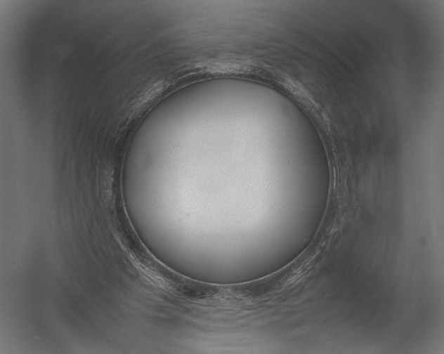 X0000052970201200507300146