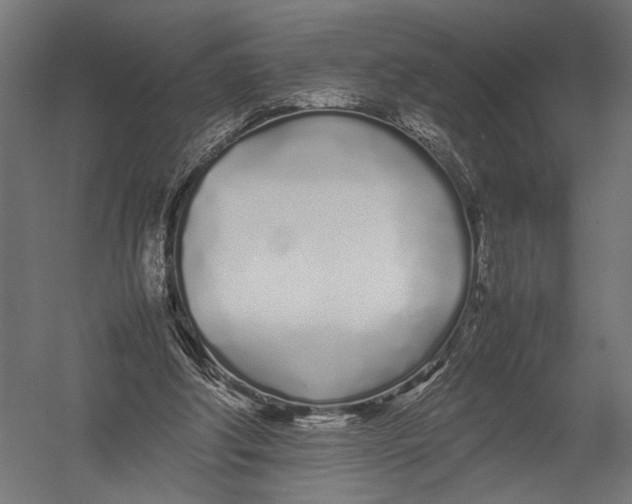 X0000052970202200507300146