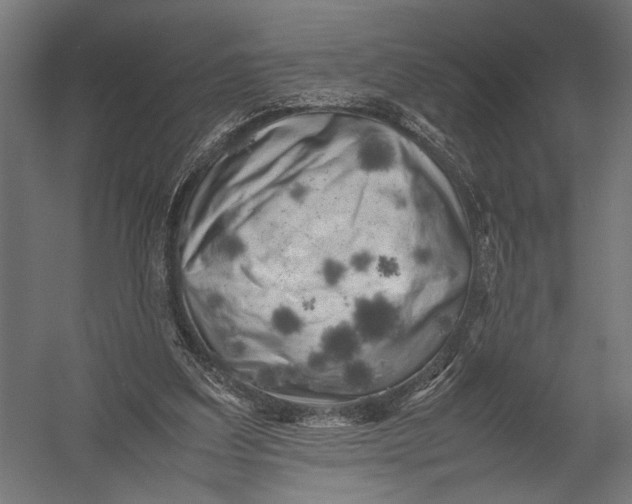 X0000052970203200507300146