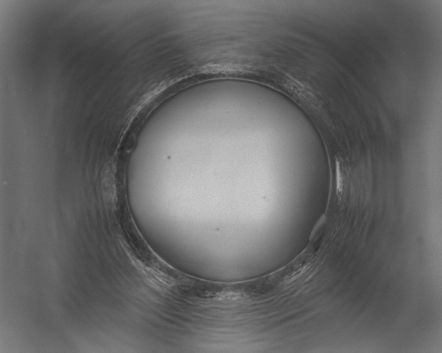 X0000052970204200507300146