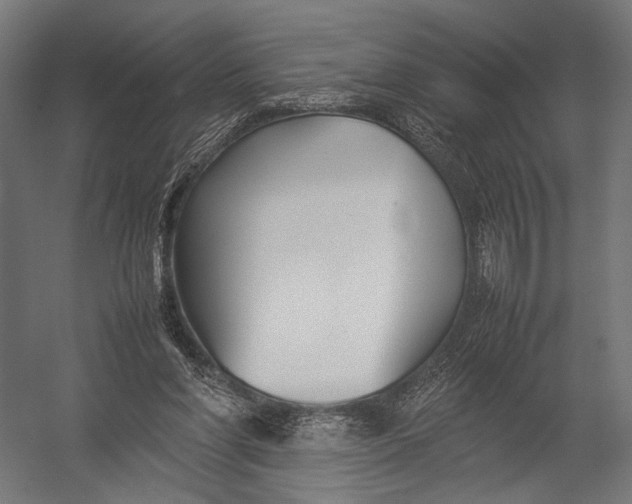 X0000052970206200507300146