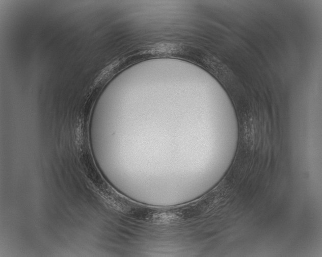 X0000052970208200507300146