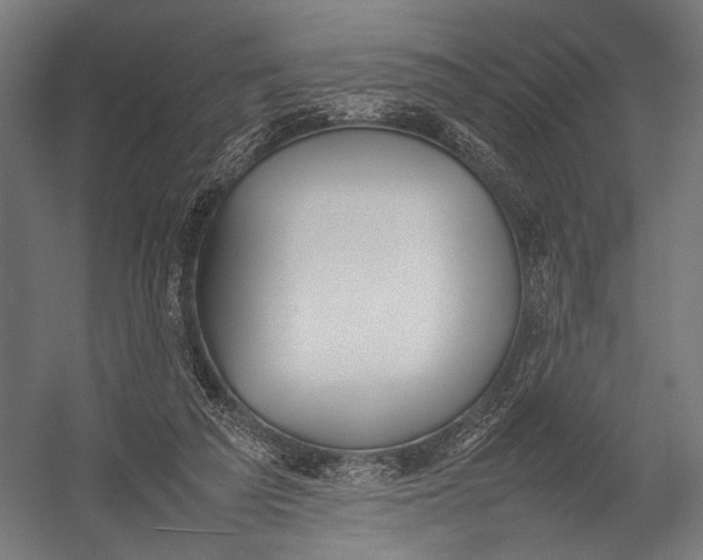 X0000052970209200507300146