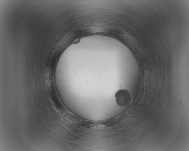 X0000052970210200507300146