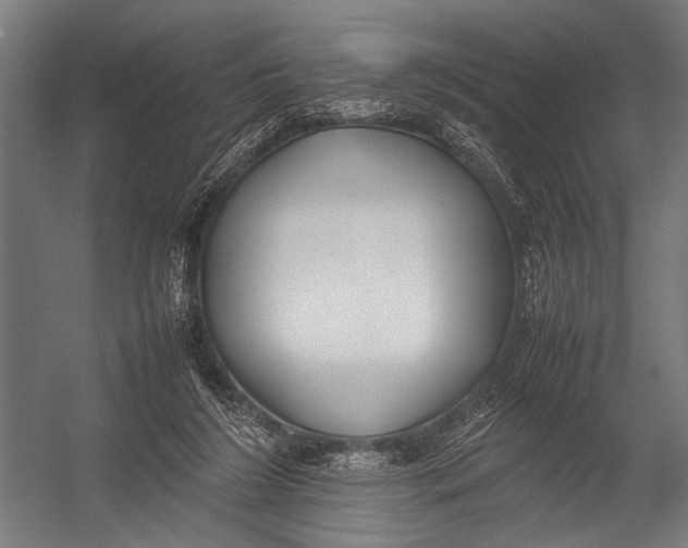 X0000052970212200507300146