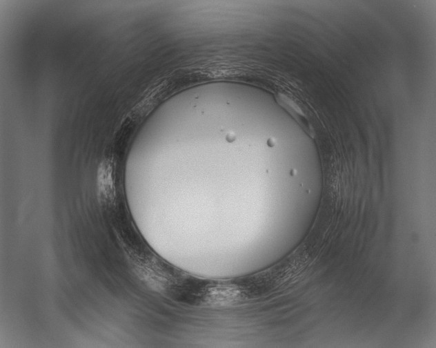 X0000052970214200507300146