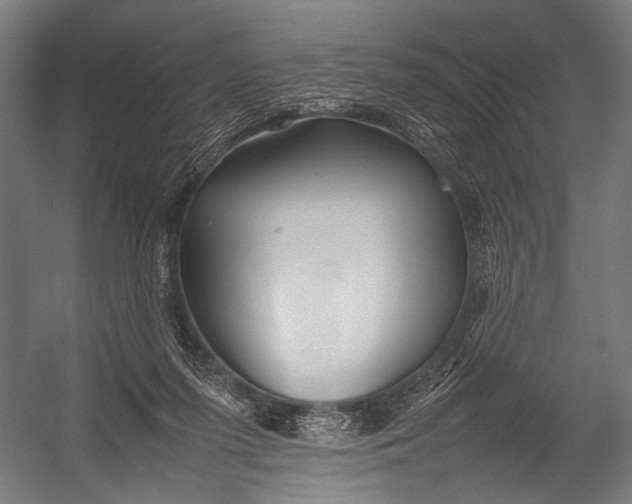 X0000052970215200507300146