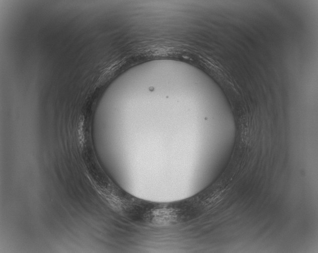 X0000052970216200507300146