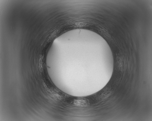 X0000052970220200507300146