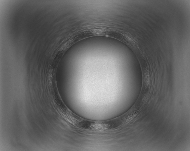 X0000052970221200507300146