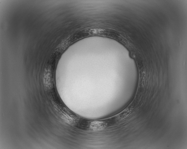 X0000052970222200507300146