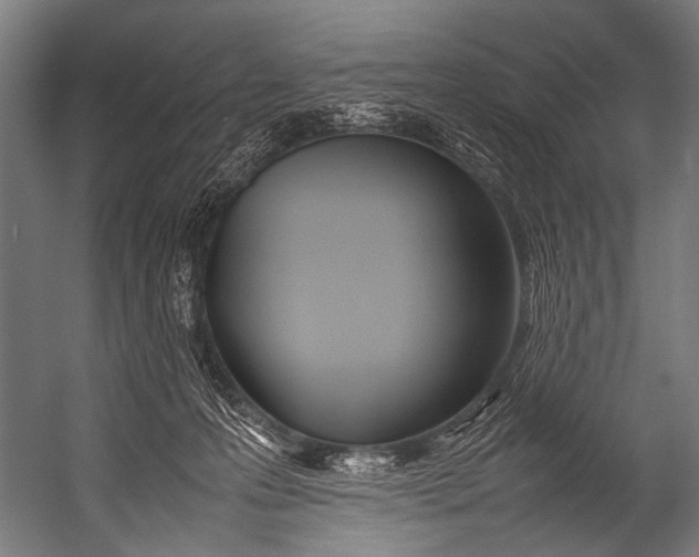 X0000052970223200507300146