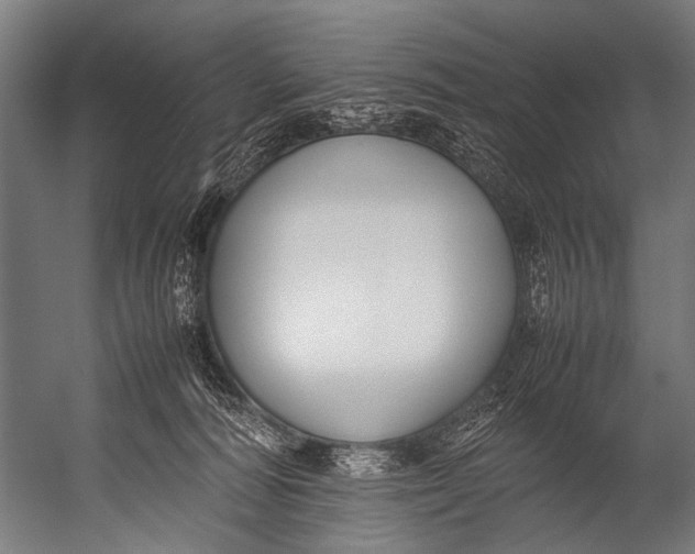 X0000052970226200507300146