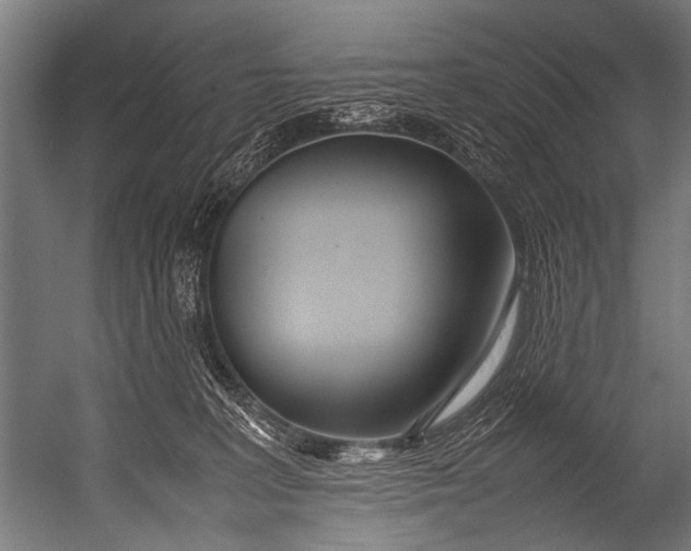 X0000052970227200507300146