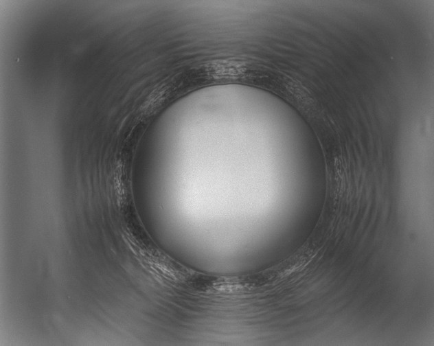 X0000052970228200507300146