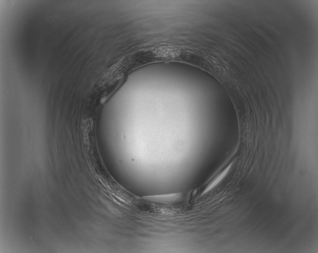 X0000052970229200507300146