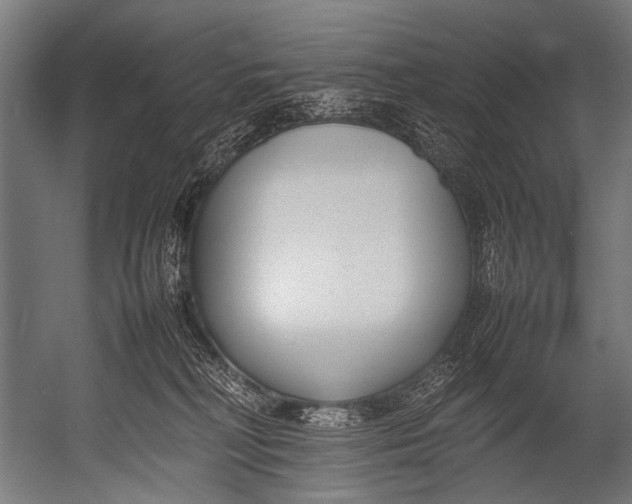 X0000052970230200507300146