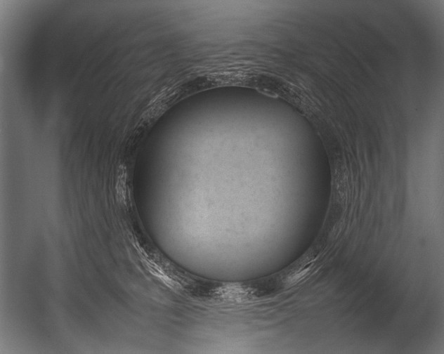 X0000052970231200507300146