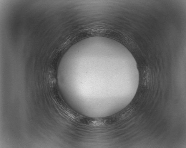 X0000052970232200507300146