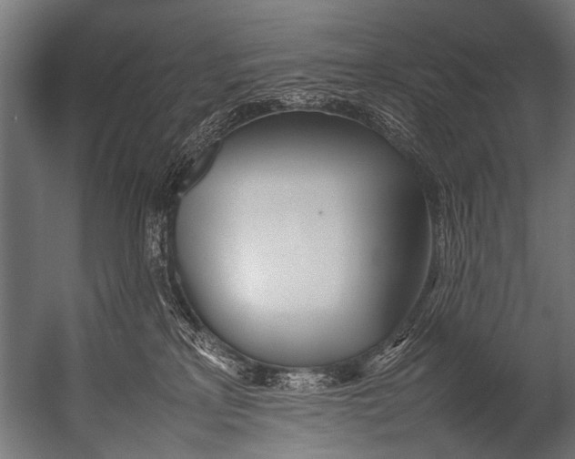 X0000052970233200507300145