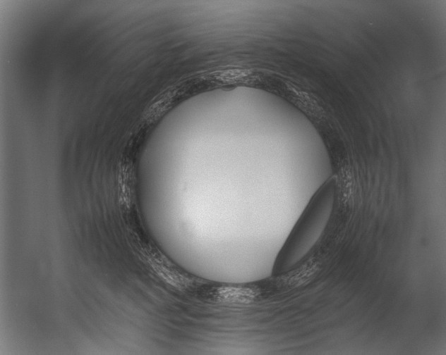 X0000052970234200507300145