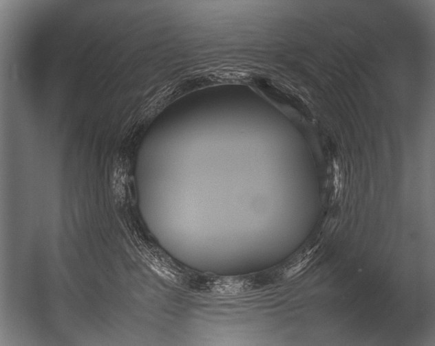 X0000052970235200507300145