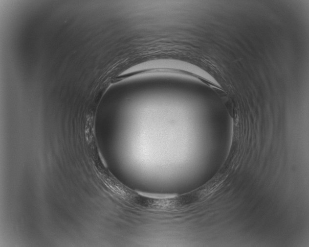 X0000052970237200507300145