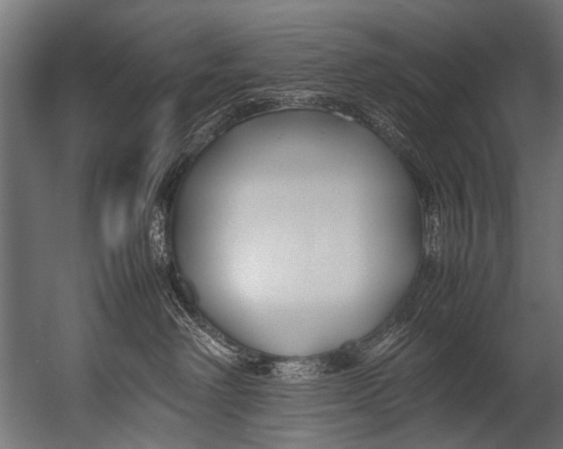 X0000052970238200507300145