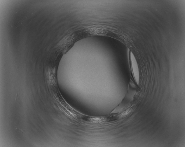 X0000052970239200507300145