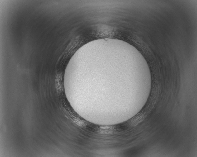 X0000052970240200507300145