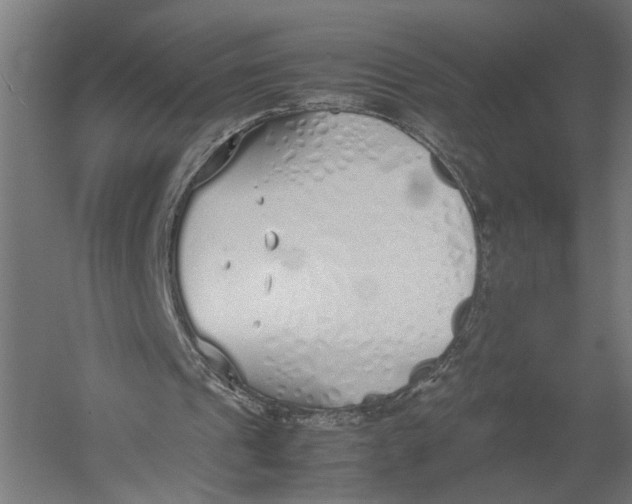 X0000052970241200507300145