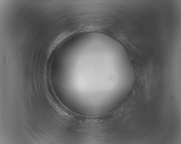 X0000052970242200507300145