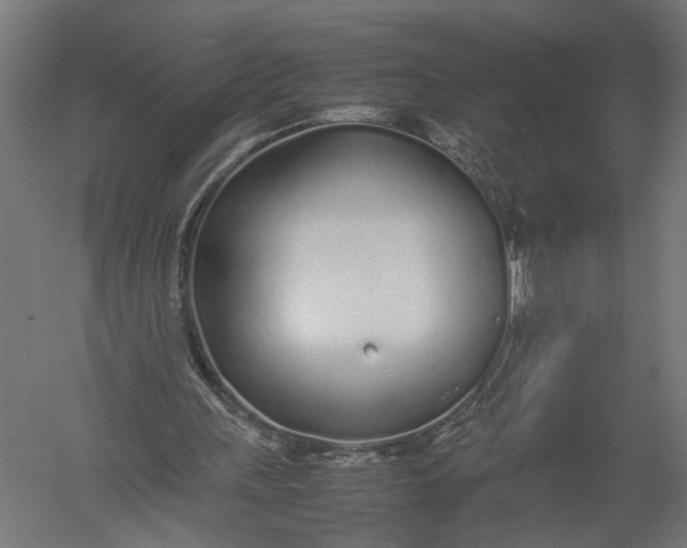 X0000052970243200507300145