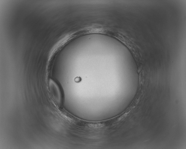 X0000052970245200507300145