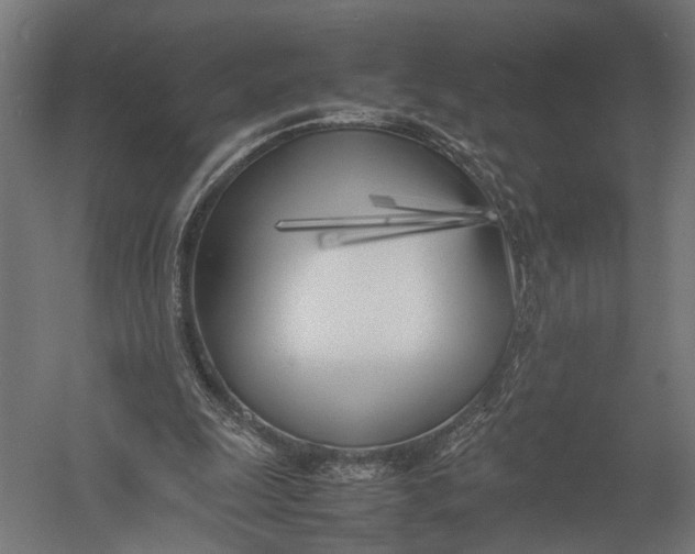 X0000052970247200507300145