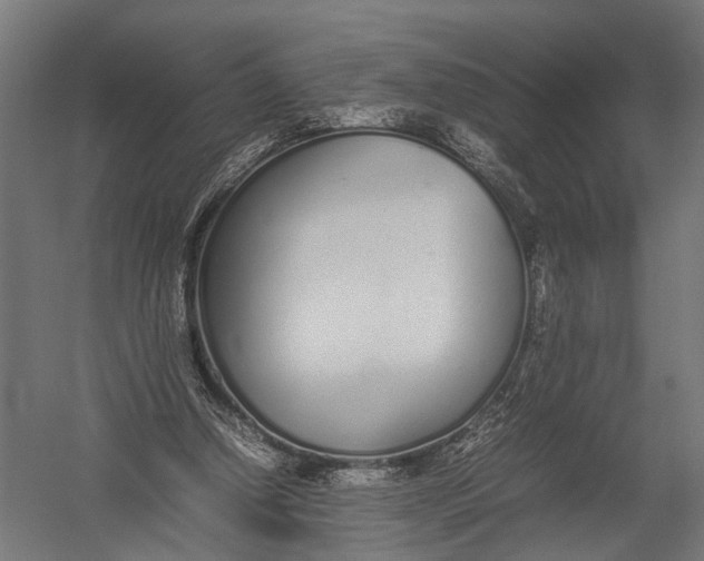 X0000052970250200507300145