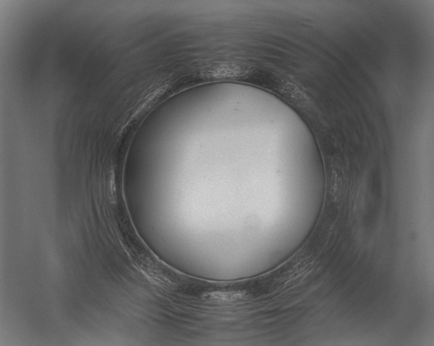 X0000052970251200507300145